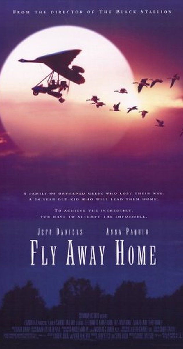 Fly Away Home