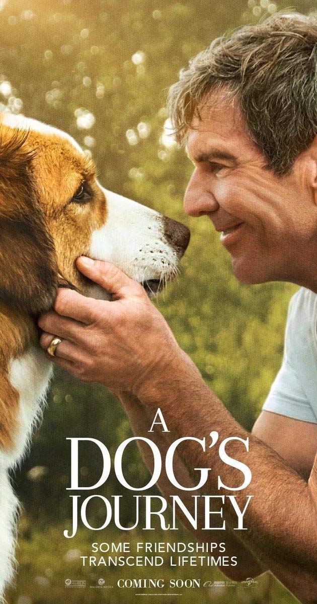 A Dog's Journey (2019)