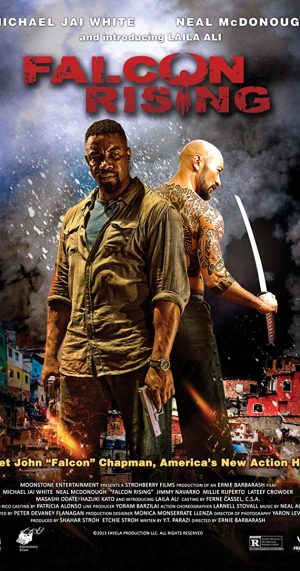 Falcon Rising (2014)