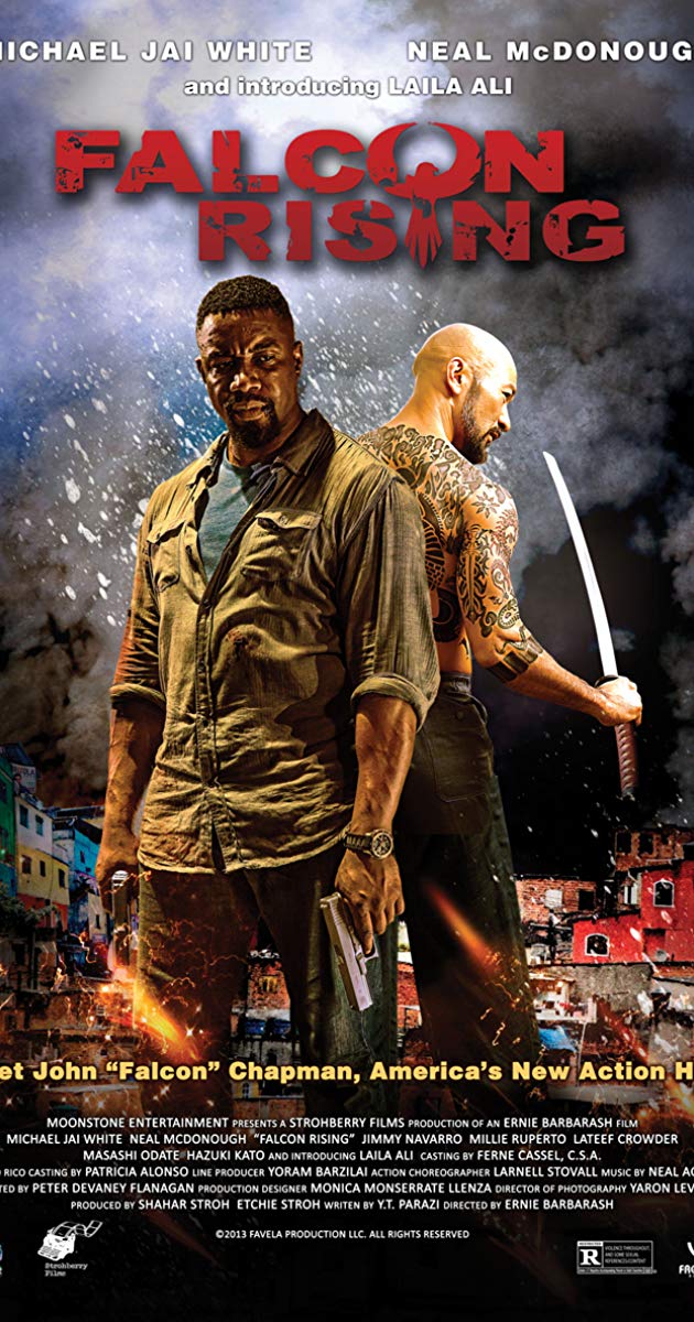 Falcon Rising (2014)