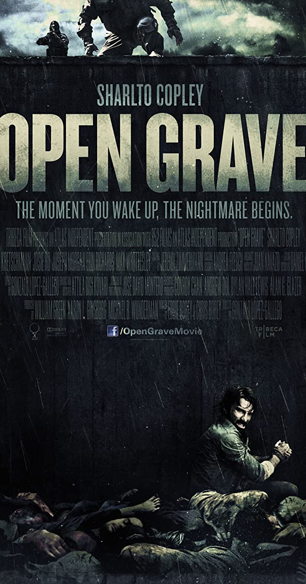 Open Grave (2013)