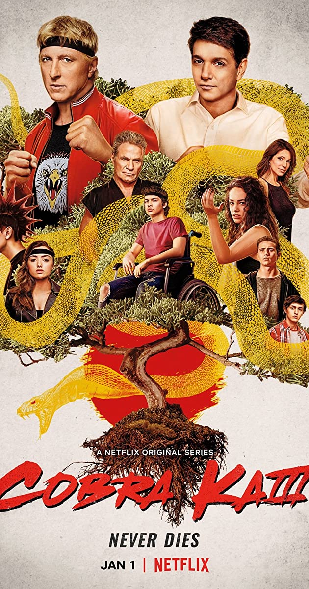 Cobra Kai TV Series (2021) Season 3