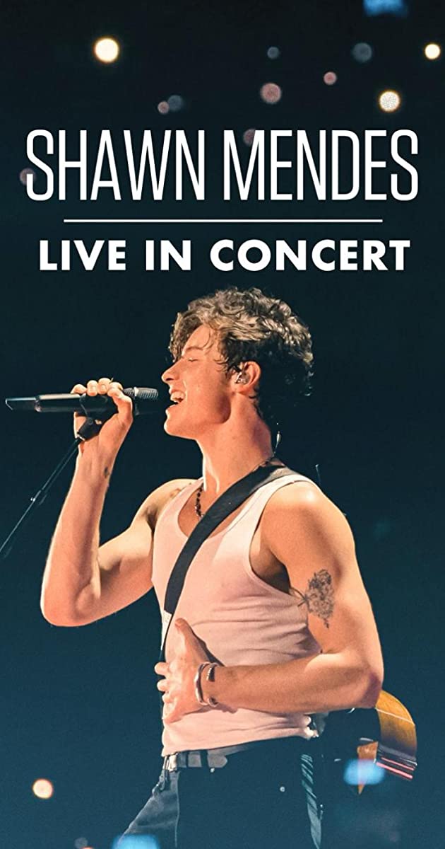 Shawn Mendes Live in Concert (2020)