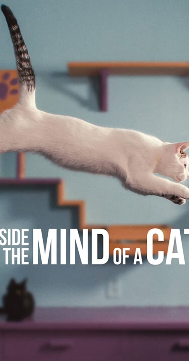 Inside the Mind of a Cat (2022)