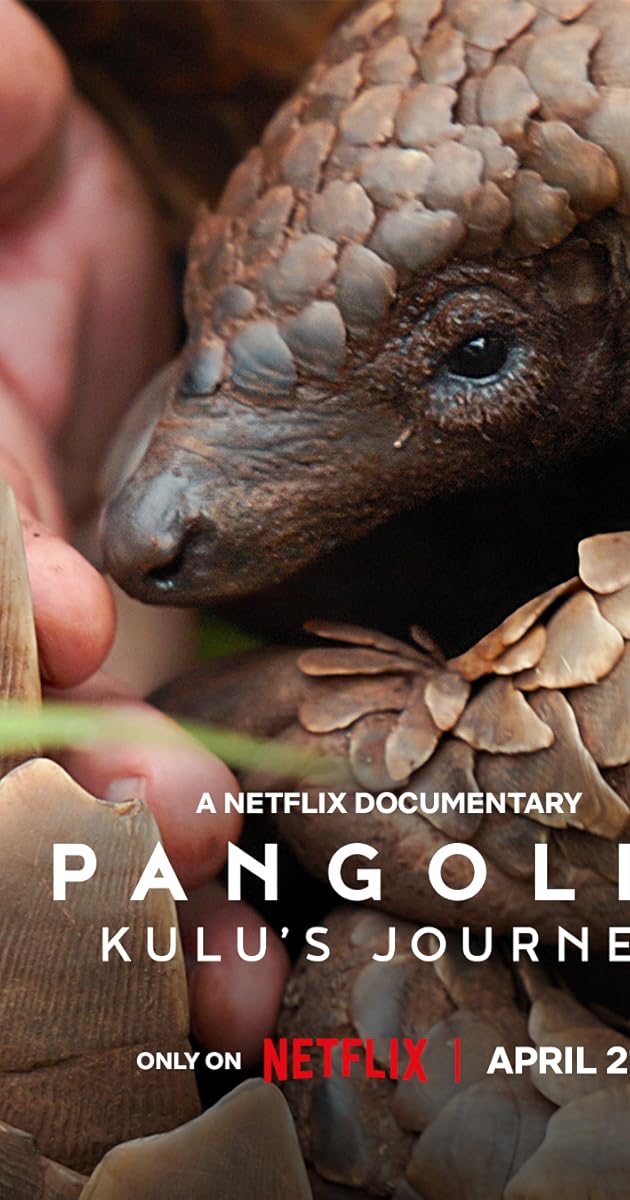 Pangolin Kulus Journey (2025)